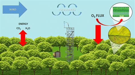 how to measure eddy covariance